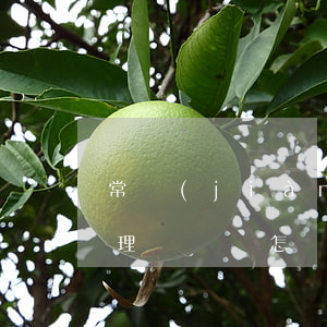 常見(jiàn)的汽車保險(xiǎn)理賠糾紛，怎樣處理才不吃虧？